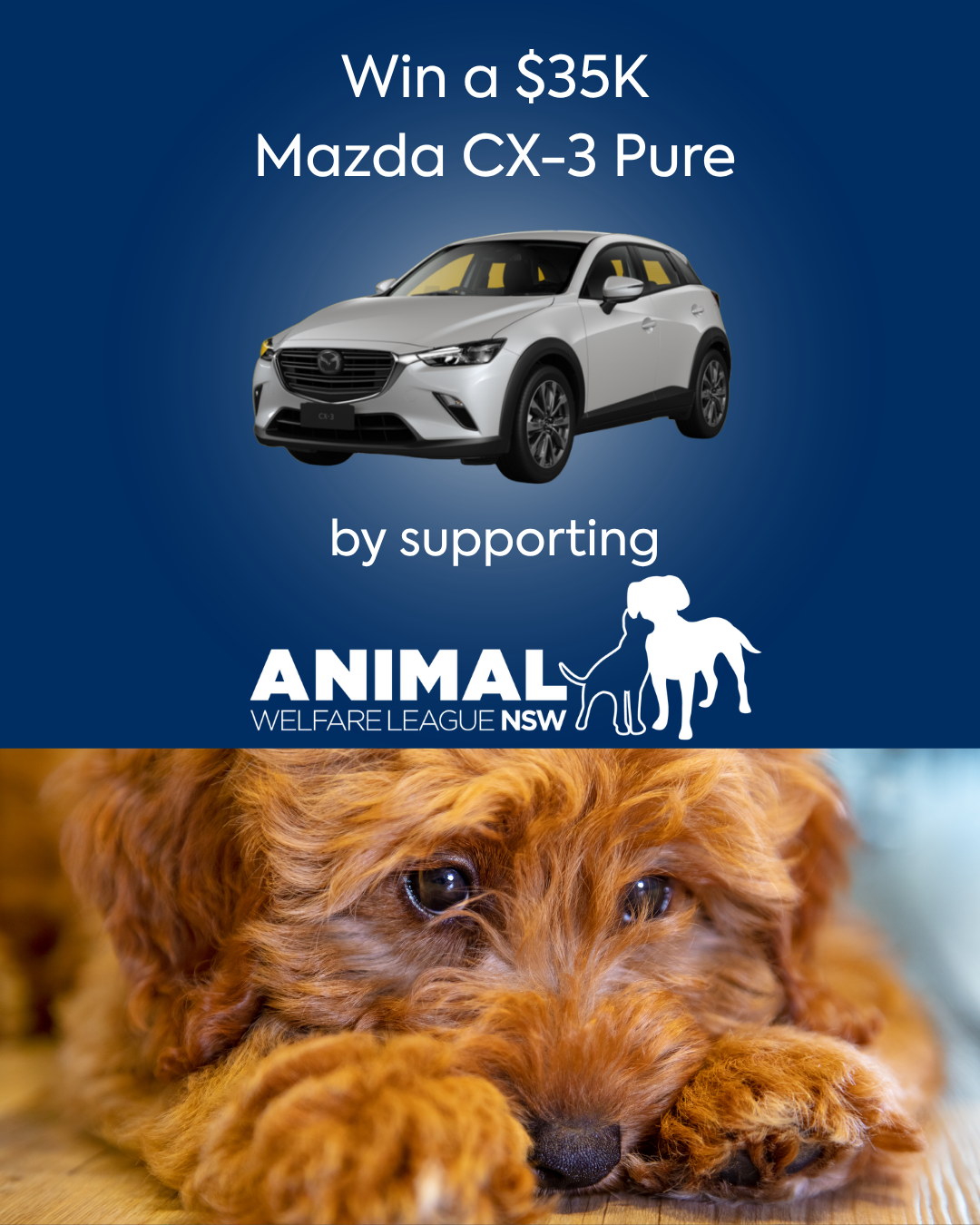 Animal Welfare League NSW Charity Raffle | Mazda CX-3 Pure